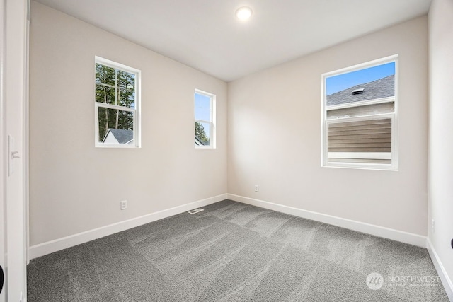 unfurnished room with carpet