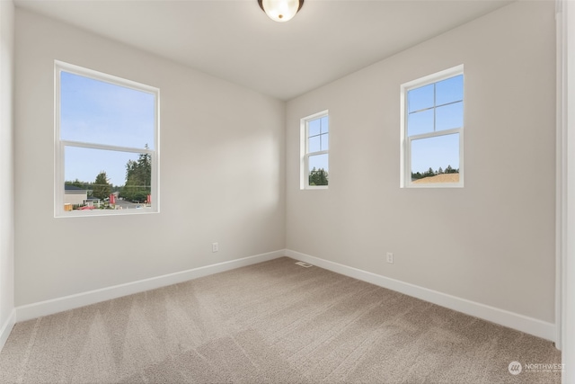 spare room with carpet floors