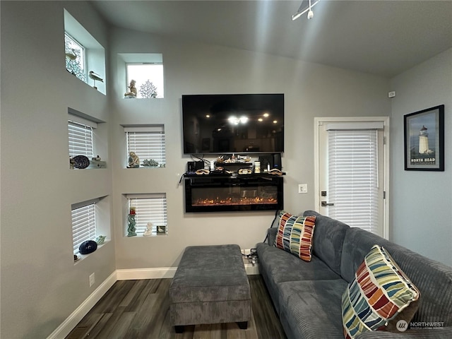 living room featuring high vaulted ceiling and wood-type flooring