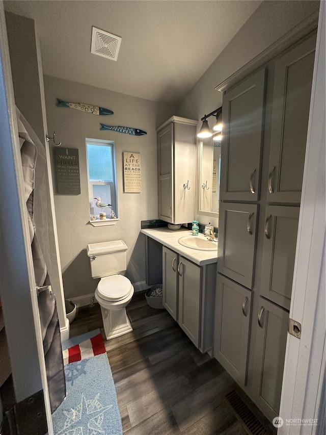 bathroom featuring vanity, hardwood / wood-style flooring, and toilet