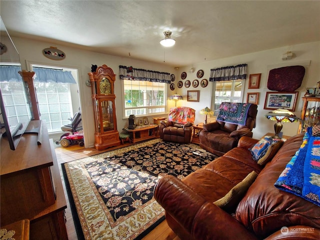 living room featuring a wealth of natural light