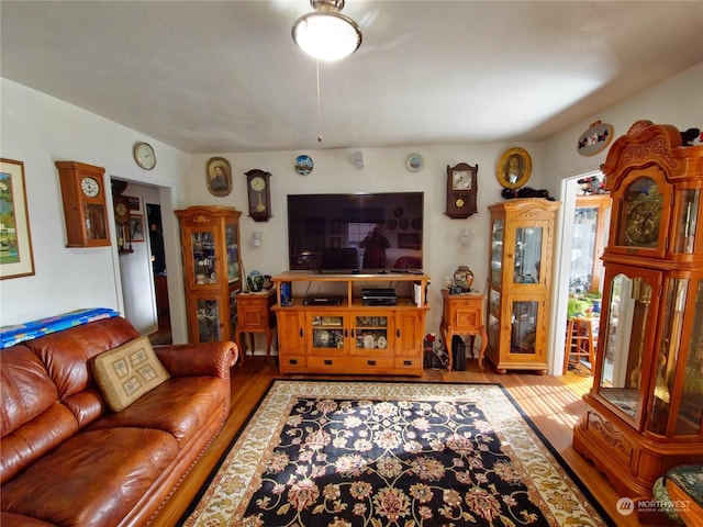 living room with light hardwood / wood-style flooring