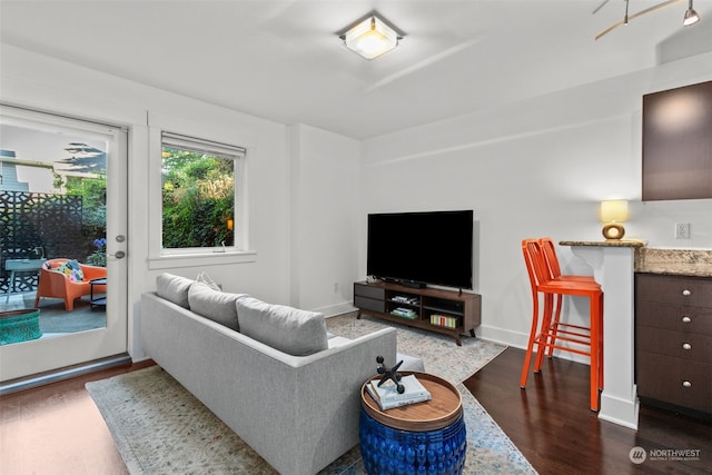 living room featuring dark hardwood / wood-style flooring