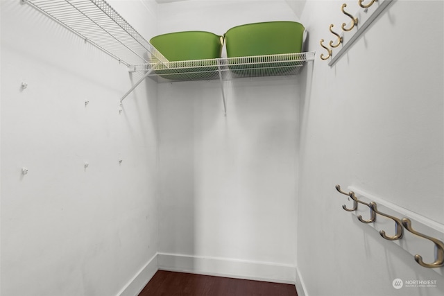 spacious closet with dark wood-type flooring