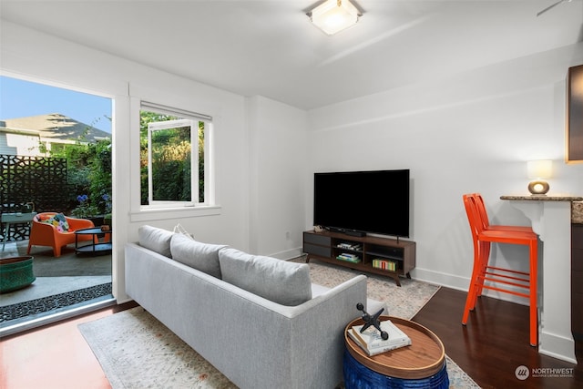 living room with hardwood / wood-style flooring