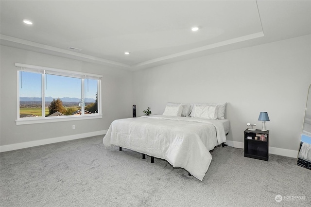 carpeted bedroom with a raised ceiling