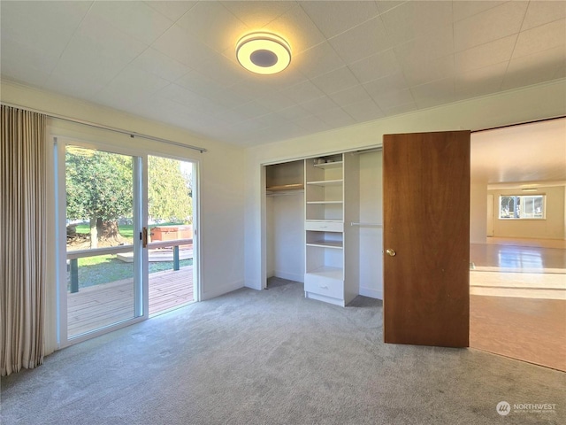 unfurnished bedroom featuring a closet, carpet flooring, and access to exterior
