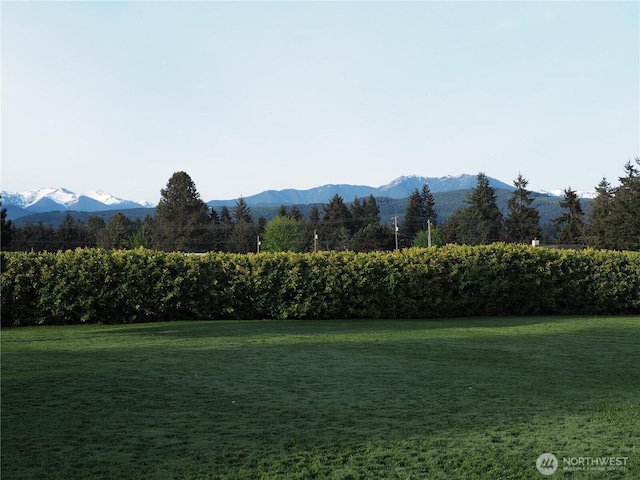 view of community with a lawn and a mountain view