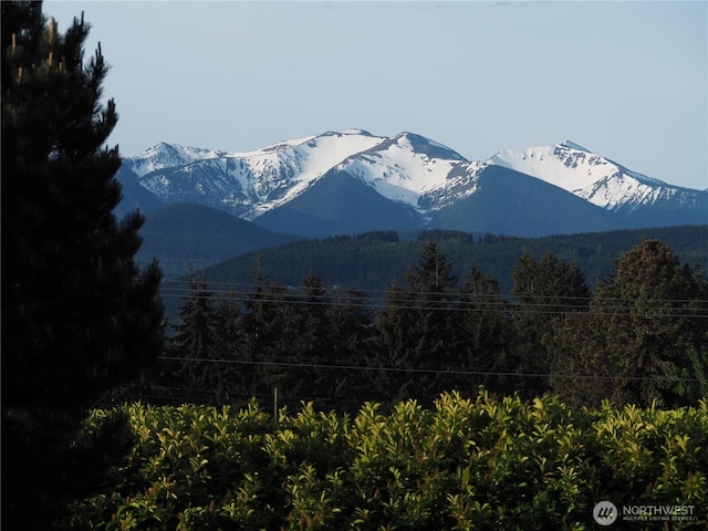 view of mountain feature