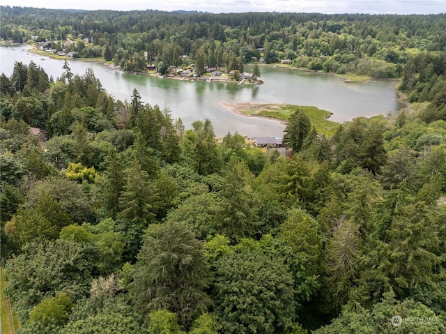 5412 46th Street Ct NW, Gig Harbor WA, 98335 land for sale