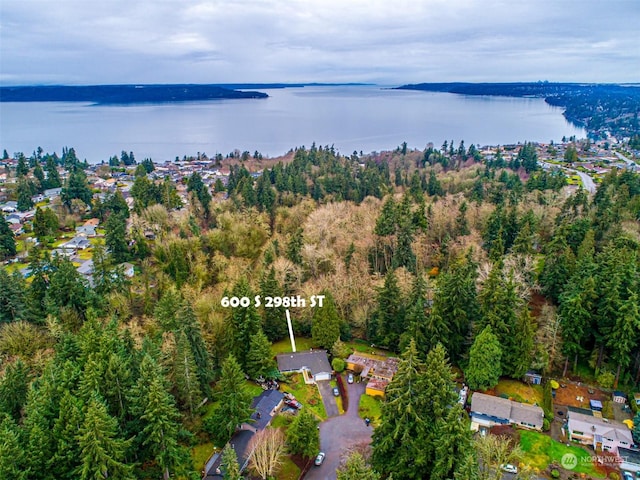 aerial view with a water view