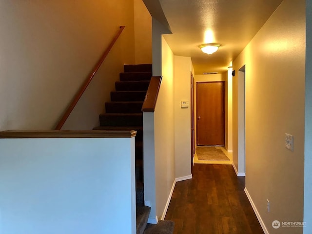 staircase featuring wood-type flooring