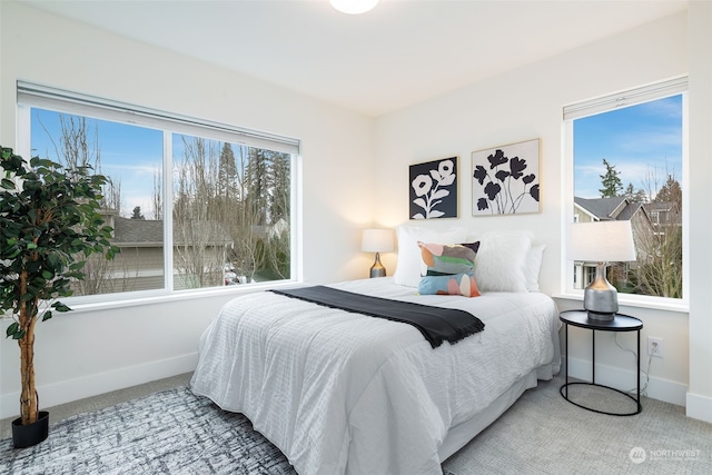 bedroom with carpet and multiple windows