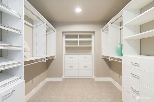 spacious closet featuring light carpet