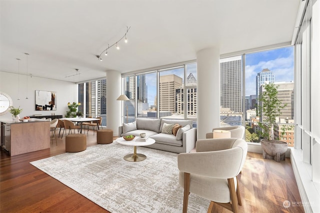 living room featuring hardwood / wood-style flooring and expansive windows