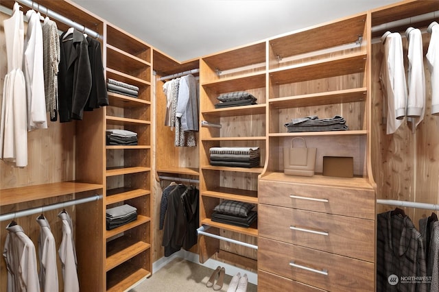 walk in closet featuring light carpet