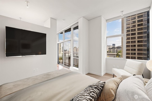 bedroom with light colored carpet and access to outside