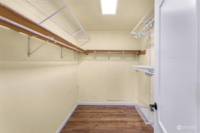 walk in closet with dark wood-type flooring