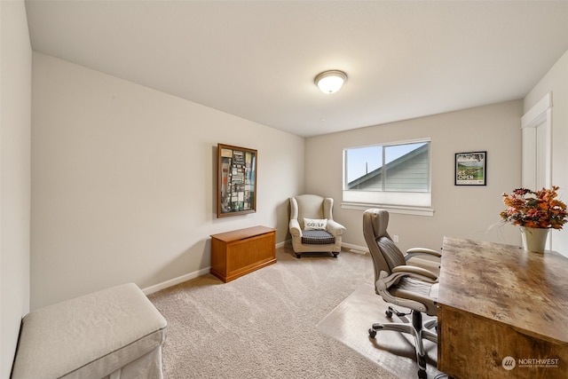 office featuring light colored carpet