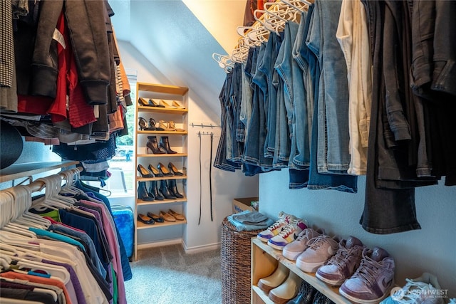 walk in closet featuring carpet floors