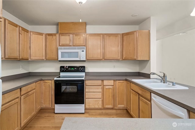 kitchen featuring light wood-type flooring, light brown cabinets, white appliances, and sink