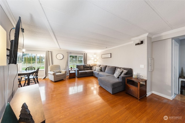 living room featuring hardwood / wood-style floors and crown molding