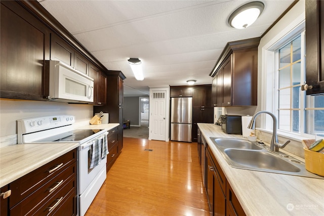 kitchen featuring white appliances, light hardwood / wood-style floors, dark brown cabinetry, and sink