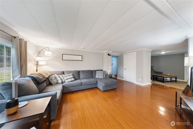 living room featuring crown molding and hardwood / wood-style flooring