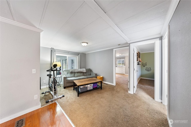 workout room featuring carpet floors and crown molding