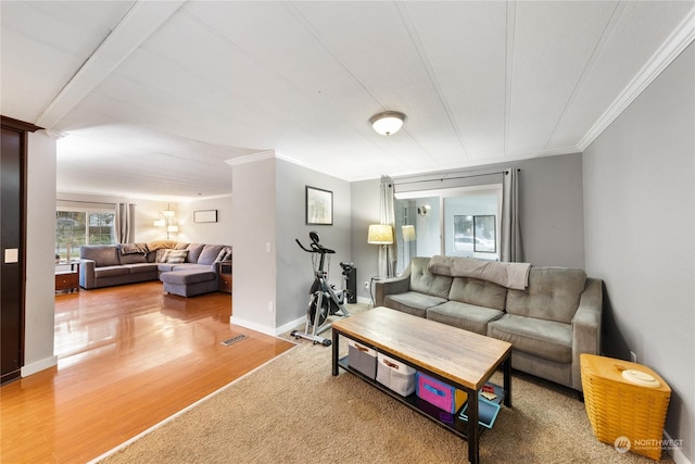 living room featuring ornamental molding and hardwood / wood-style flooring