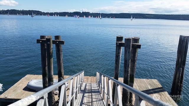 dock area with a water view