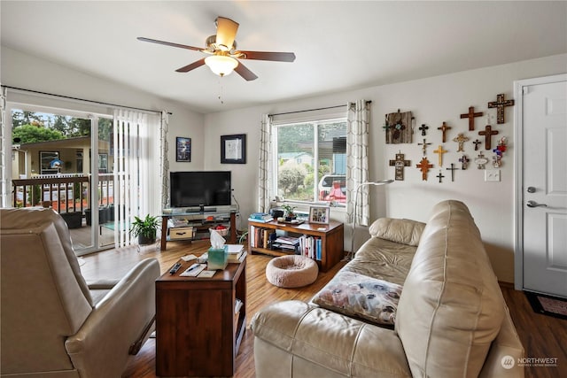 living room featuring hardwood / wood-style floors and ceiling fan