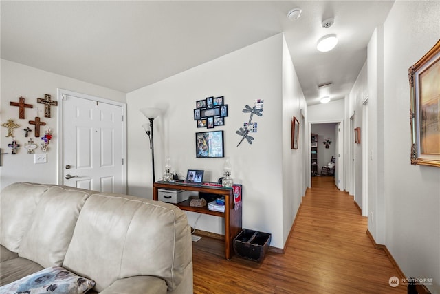 living room featuring wood-type flooring