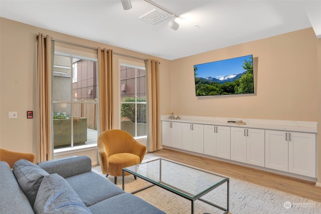 living room with rail lighting, light hardwood / wood-style floors, and plenty of natural light