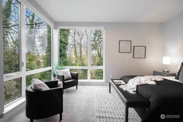 view of carpeted bedroom