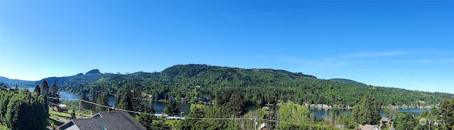 view of mountain feature with a water view