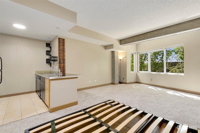 interior space featuring sink, light colored carpet, and a textured ceiling