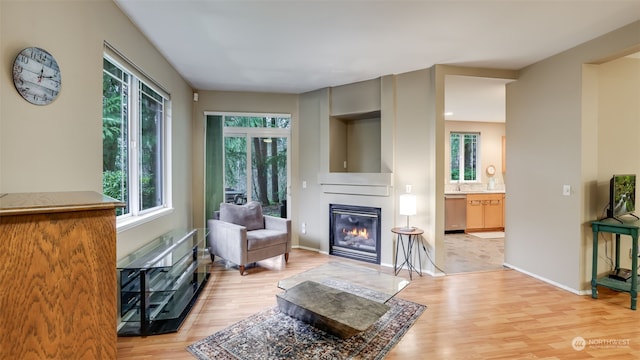 living room with light hardwood / wood-style floors