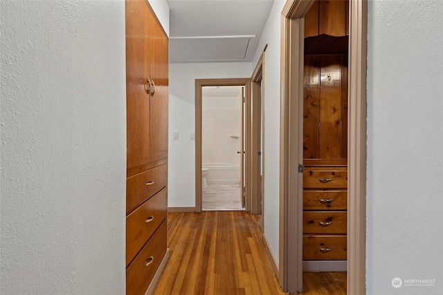 hallway with light hardwood / wood-style flooring