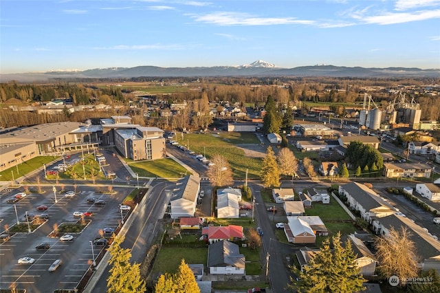 bird's eye view featuring a mountain view