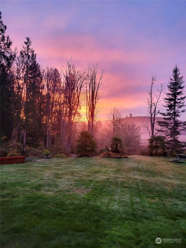 view of yard at dusk