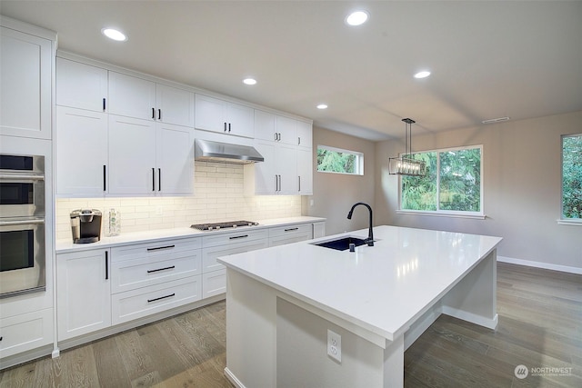 kitchen featuring tasteful backsplash, extractor fan, light wood-type flooring, stainless steel appliances, and a sink