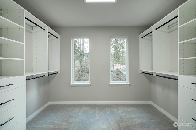 spacious closet featuring light carpet