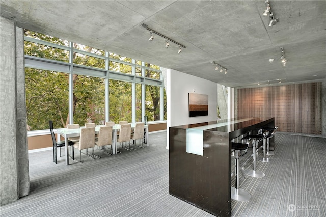 kitchen with carpet floors and a healthy amount of sunlight