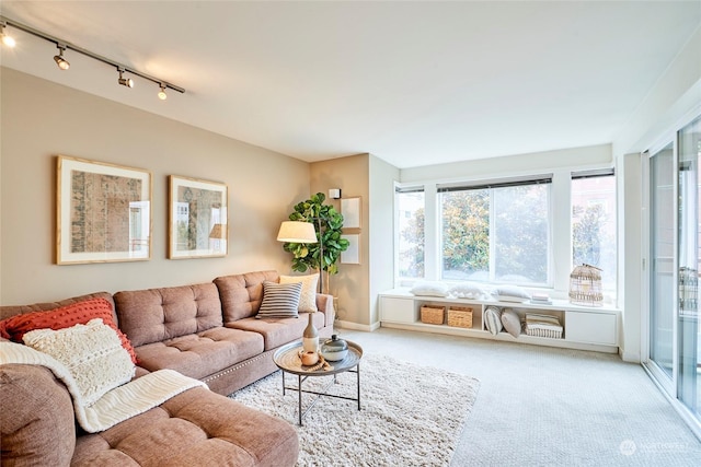 living room featuring carpet and rail lighting