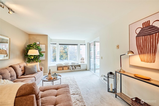 carpeted living room featuring rail lighting