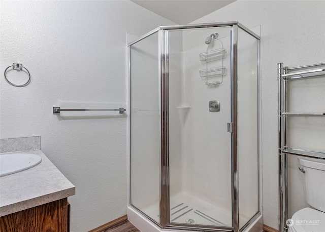 bathroom featuring a shower stall, toilet, and vanity