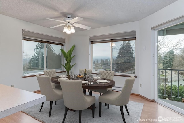 dining room with light wood finished floors, plenty of natural light, and a textured ceiling