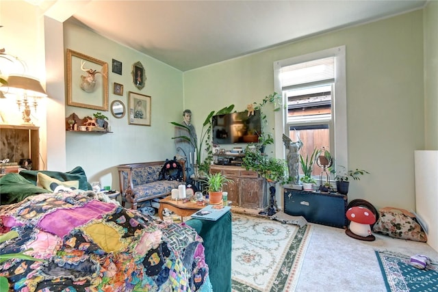 living room featuring carpet floors