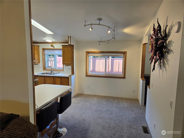 kitchen with light colored carpet and sink